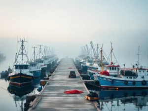 O futuro do sector pesqueiro galego: sinais de recuperación tras anos difíciles