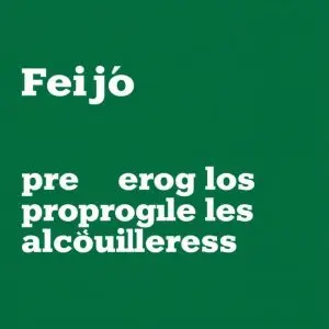 Feijóo y la prórroga de los alquileres: qué impacto tendría en Galicia la negati