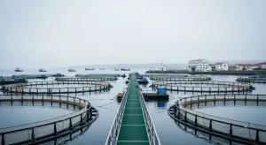 Acuicultura: el motor silencioso que redefine el futuro de la gran industria pes