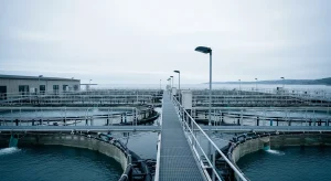 La apuesta por la acuicultura: un giro estratégico que redefine el futuro de Nue