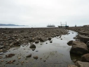 É sostible o futuro da ría de Aldán? Unha chamada de atención ante a contaminación recorrente