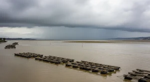 El marisqueo gallego, arrinconado por la tormenta perfecta