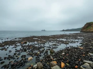 Pode Galicia permitirse máis retrocesos ambientais nas súas rías?