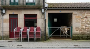 Hostalaría e gandería: dúas caras das baixas laborais en Galicia