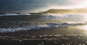 Tractores de luxo en Galicia: o campo súbese á gama alta