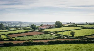 El retorno al campo: cuando la tradición se vuelve negocio