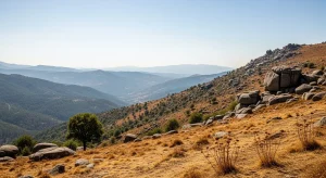 El laberinto burocrático que deja a Ourense expuesta al fuego