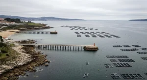 El mar sufre una presión insostenible