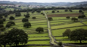 Conflictos de uso del suelo comunal: un dilema recurrente en Galicia