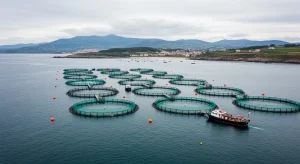 Acuicultura: la apuesta estratégica que redefine el futuro de Nueva Pescanova