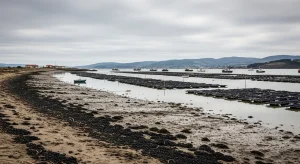 Pode Galicia permitirse seguir perdendo calidade nas súas rías?