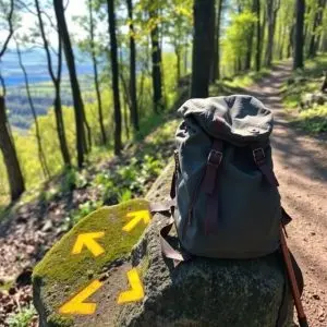 El Camino de Santiago registra cifras récord en September 2025