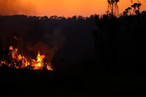 Galicia arde mentres a súa normativa forestal acumula media década de atraso