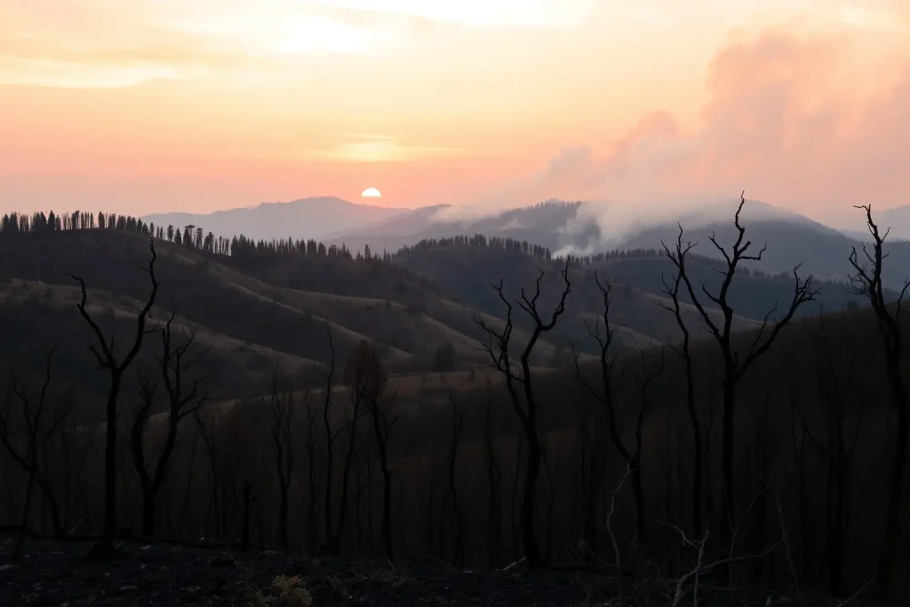 Dobre reto para os extintores en Allariz: un lume forestal nun paraxe inaccesible