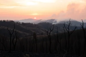 Dobre reto para os extintores en Allariz: un lume forestal nun paraxe inaccesible