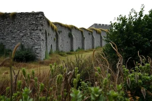 La muralla medieval de Monforte, asediada por la vegetación y la burocracia