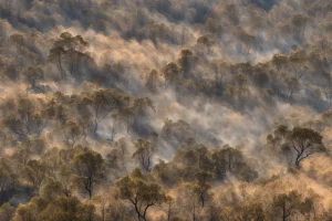 Se desactiva la situación 2 del incendio de Fumaces (Riós), que afecta ya a 30 h