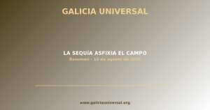 Resumen del día: La sequía asfixia el campo   14 agosto 2026